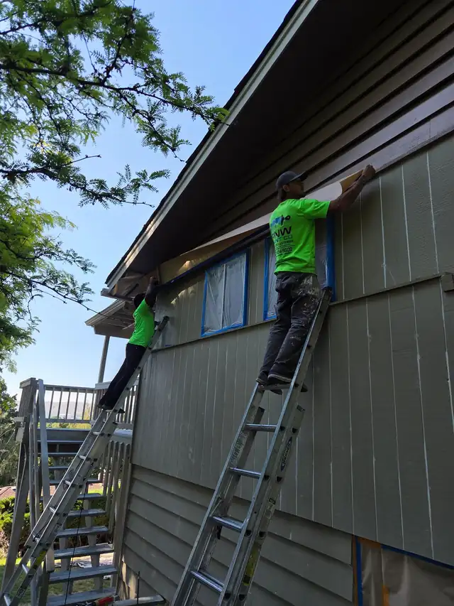 PNW Paint crew members on ladders painting olive green siding